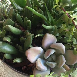 Meet your Posher, Judy